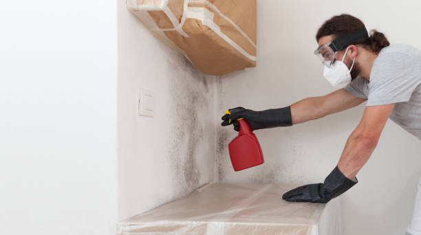 Professional Bathroom Mold Removal technician working in Shippensburg, PA